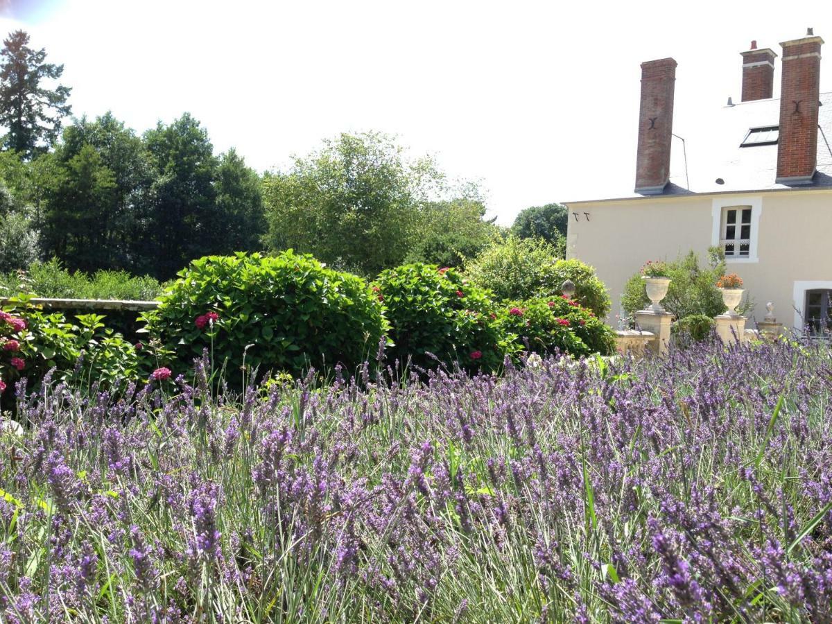 Bed and Breakfast Chateau De Moison, Domaine Eco Nature Ivoy-le-Pré Zewnętrze zdjęcie